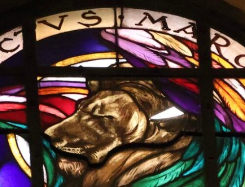 Witraże w jezuickim kościele w Krakowie