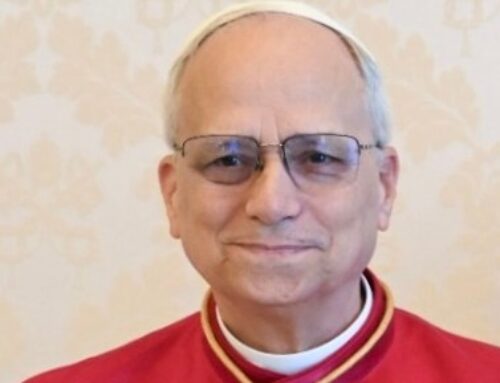 Papieskie intencje na 2026 rok